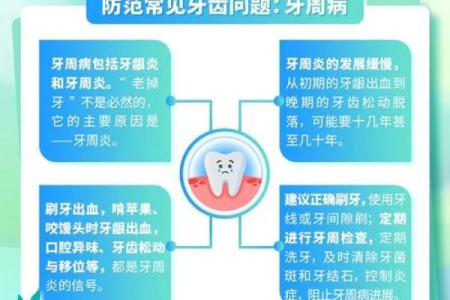 探秘牙齿的秘密：26粒牙齿带来的命理与健康启示
