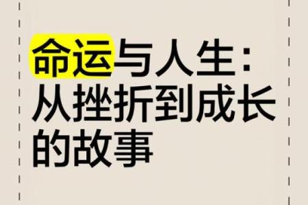 命运的惊叹：命宠与逆境之间的精彩故事
