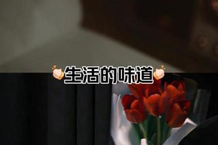 82年出生的人命运与性格解析：一生的旅程与挑战