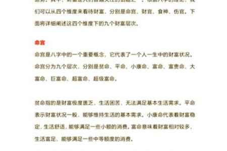 一九七九属什么命：揭秘1979年出生女性的命理与生活智慧