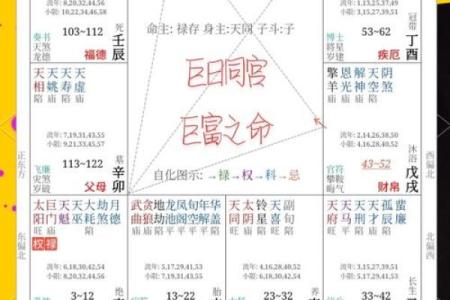 92年出生的水命解析：命运与性格的深度剖析