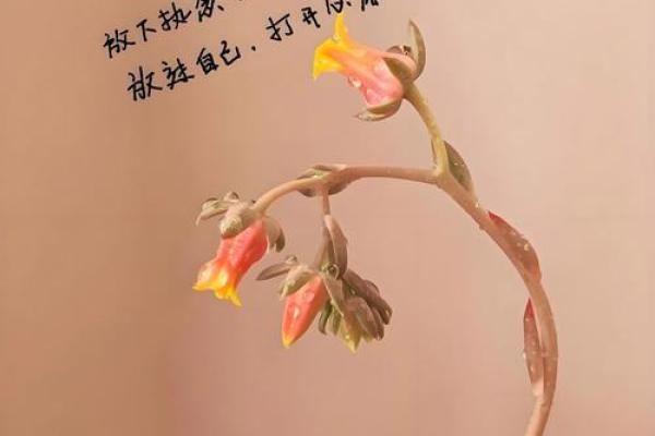 1985年出生的人：金命的特质与人生轨迹