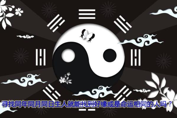 1951年出生的人命运解析：独特的生命旅程与性格特征