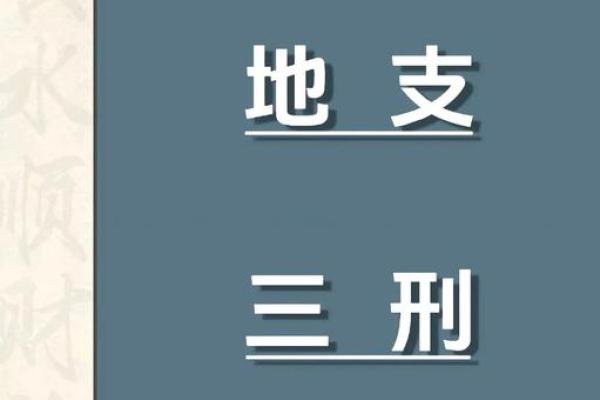 揭秘“飞凤之命”：命理中的神秘象征与人生启示