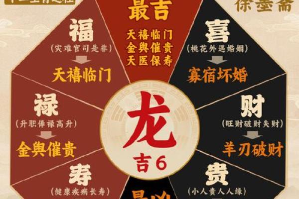 2012龙年：生肖与命运的奇妙交织与影响
