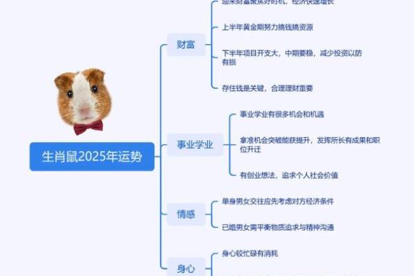 如何分辨鼠的命理特征与性格？探讨鼠年命的人生轨迹