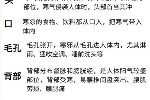命寒：深度解析命理学中的寒命特征与生活影响