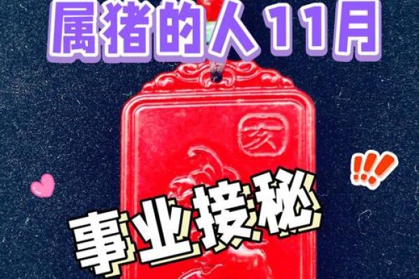 2005年属猪人的命运与性格分析：幸福与挑战并存的生活之旅