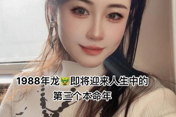 1988龙年出生的命理与性格特点分析