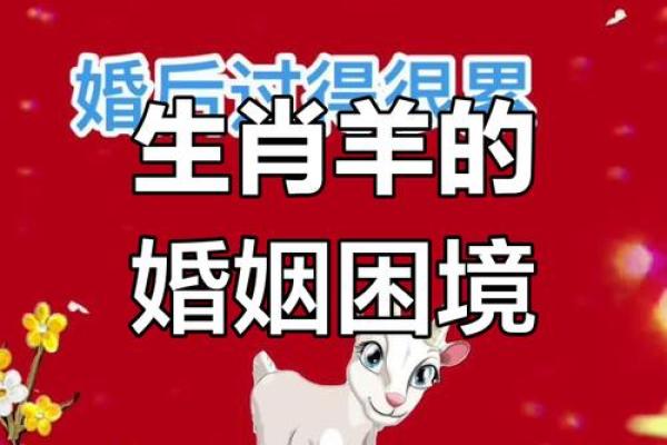 属羊男命好女命不好：揭示背后的真相与原因