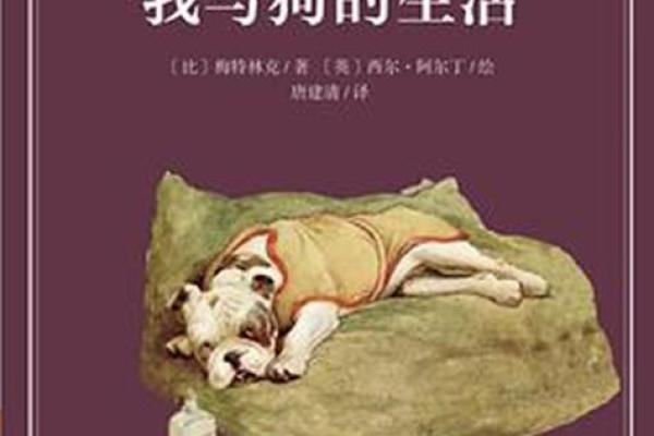 有狗子的生活：它们是如何改变我们的命运的