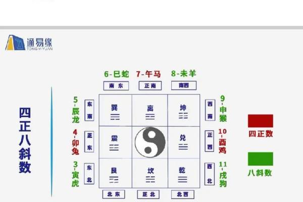 怎样通过八字命理了解自己的命运