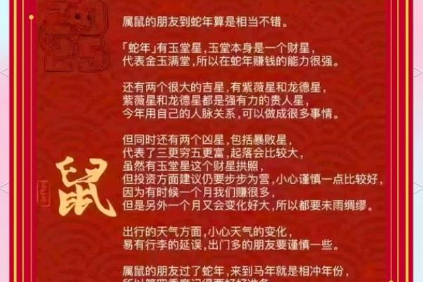 属鼠人的命理分析：什么缺什么补，助你运势更上一层楼