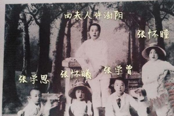 1916年出生的人命运解析：追寻生命的轨迹与智慧