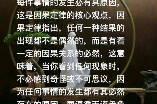 因果法则：人生的起伏与选择的轨迹