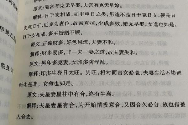 1979年农历十月出生的命理解析与人生轨迹