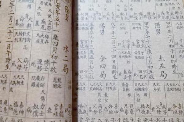 1979年农历十月出生的命理解析与人生轨迹