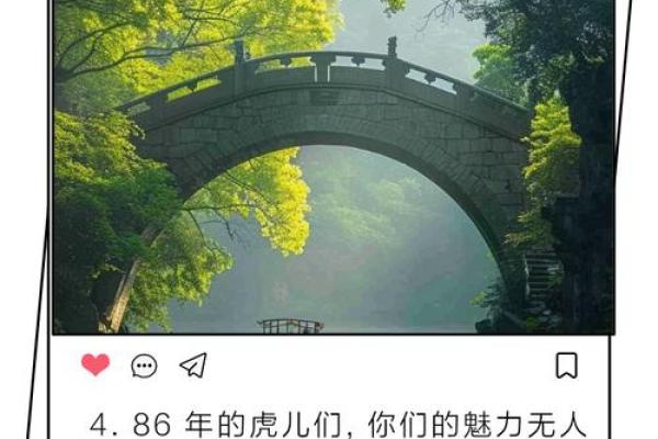 探寻1986年腊月虎命的神秘与魅力