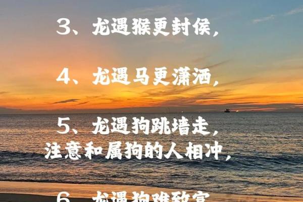 属虎1966年的命运解析与人生启示