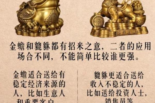 金马命的聚财法宝：如何利用风水与配饰提升财富运势