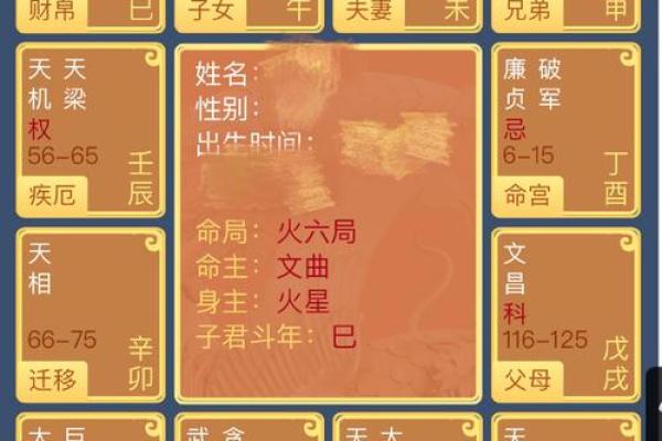 紫薇命盘：解读职业选择与人生方向的智慧之钥