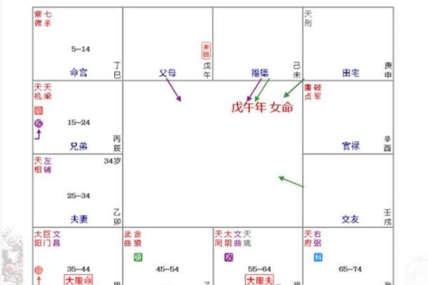 紫薇命盘：解读职业选择与人生方向的智慧之钥