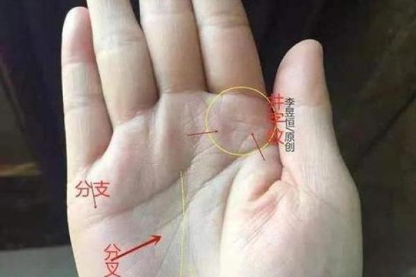 揭秘手相：探索不同命格女人的神秘面纱