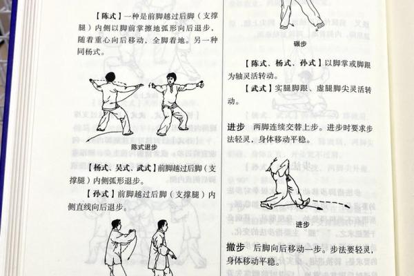 揭秘太极命格：平衡与和谐的生命之道