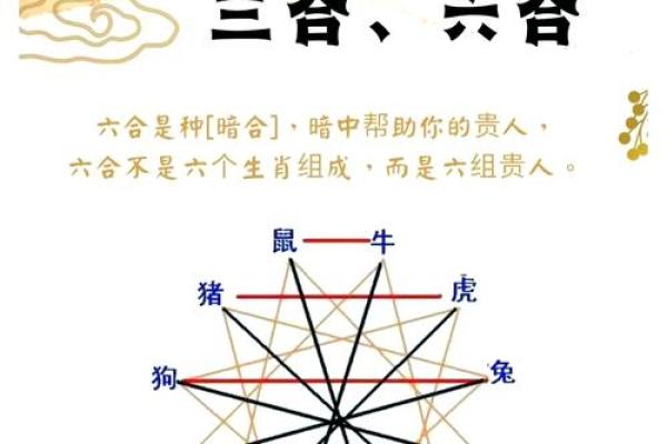 探秘女命食神：了解其在生肖中的奥秘与影响