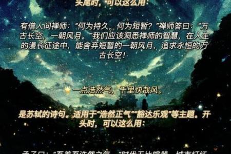 红尘命：在纷扰世界中探寻自我与生命的意义