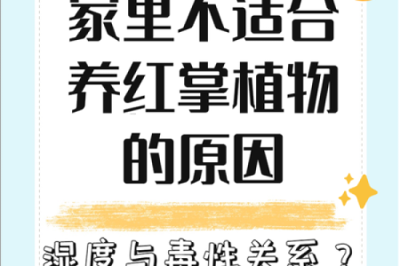 红枫花的命运：为什么你不能养？揭秘其中奥秘！