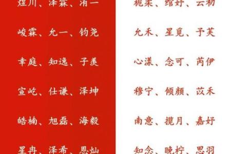 2023年最佳宝宝命名指南：让你的孩子与众不同！