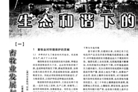 十一长假出生的猴子命运分析：生活与事业的和谐之路