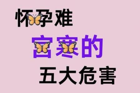 命寒：深度解析命理学中的寒命特征与生活影响