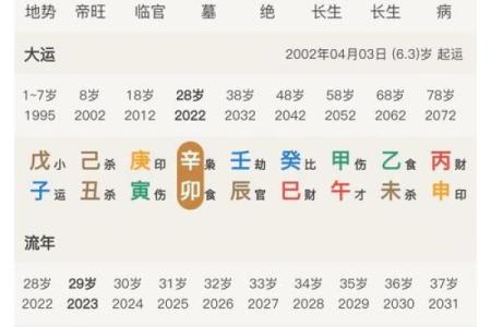 命理解码：谁是命中注定的富贵之人？