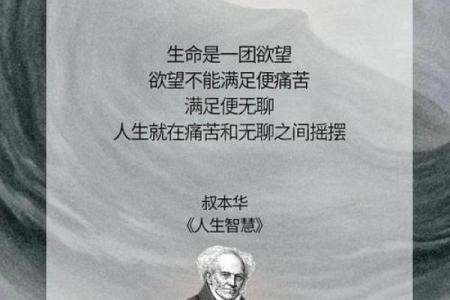 2023年，44岁属什么的命运解析与人生智慧分享