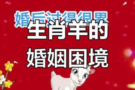 属羊男命好女命不好：揭示背后的真相与原因