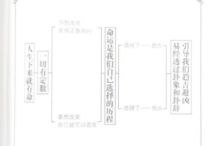 揭开命运的面纱：探索自我属于哪个命运密码