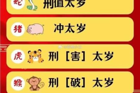 88岁属猪的命运揭秘：生肖与命理的神秘交织