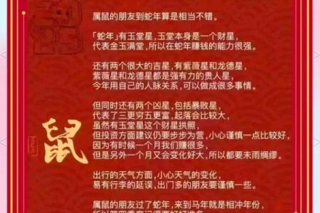 属鼠人的命理分析：什么缺什么补，助你运势更上一层楼