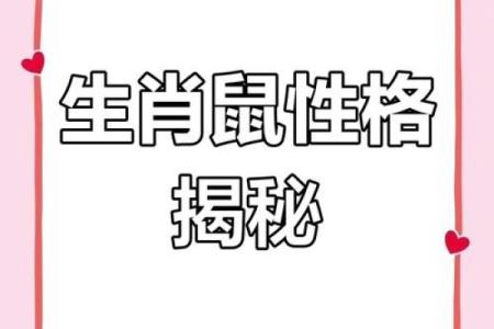 属老鼠下午出生的人命运与性格揭秘