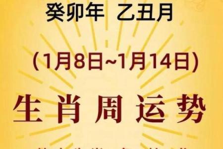 93年猴属什么命？探秘1993年出生猴子的命理与生活运势