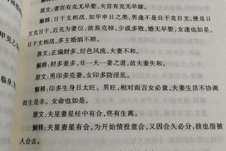 1979年农历十月出生的命理解析与人生轨迹