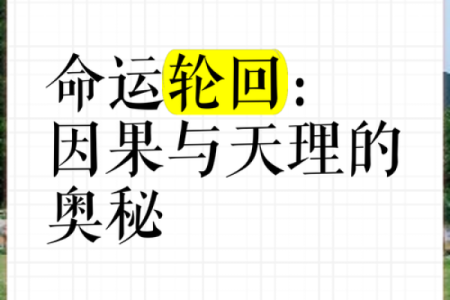 82年腊月十四的命理奥秘：探寻命运的密码与转机