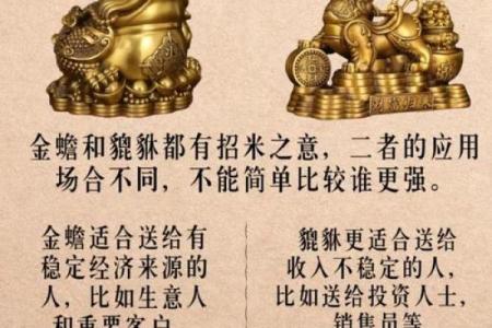 金马命的聚财法宝：如何利用风水与配饰提升财富运势