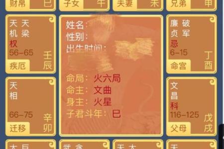 紫薇命盘：解读职业选择与人生方向的智慧之钥