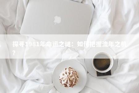 探寻1981年命运之谜：如何把握流年之机？