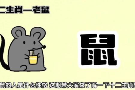 23属鼠之人命运解析：聪明与机智的双重赢家