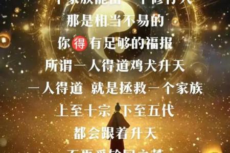 一世命即百世命：探讨生命的轮回与宿命的哲学思考