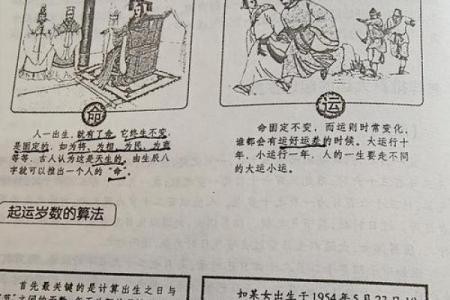 探秘1988年出生的命运：揭秘命理中的“火”属性之旅